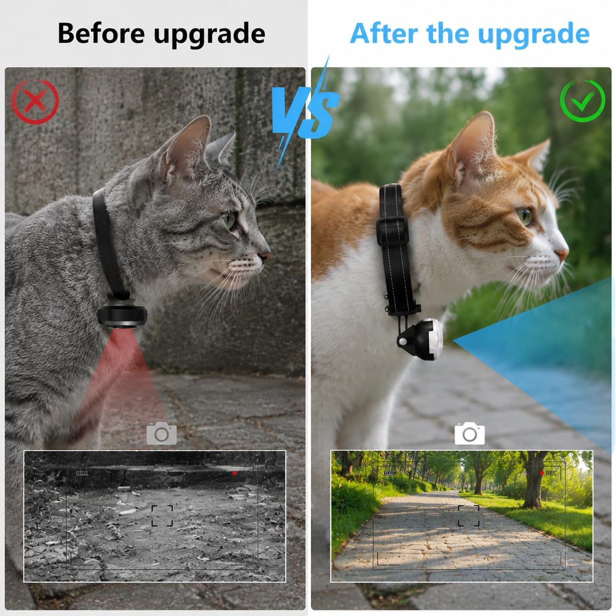 ehomful HD 1080P - Collar de cámara para gatos con grabación de vid...