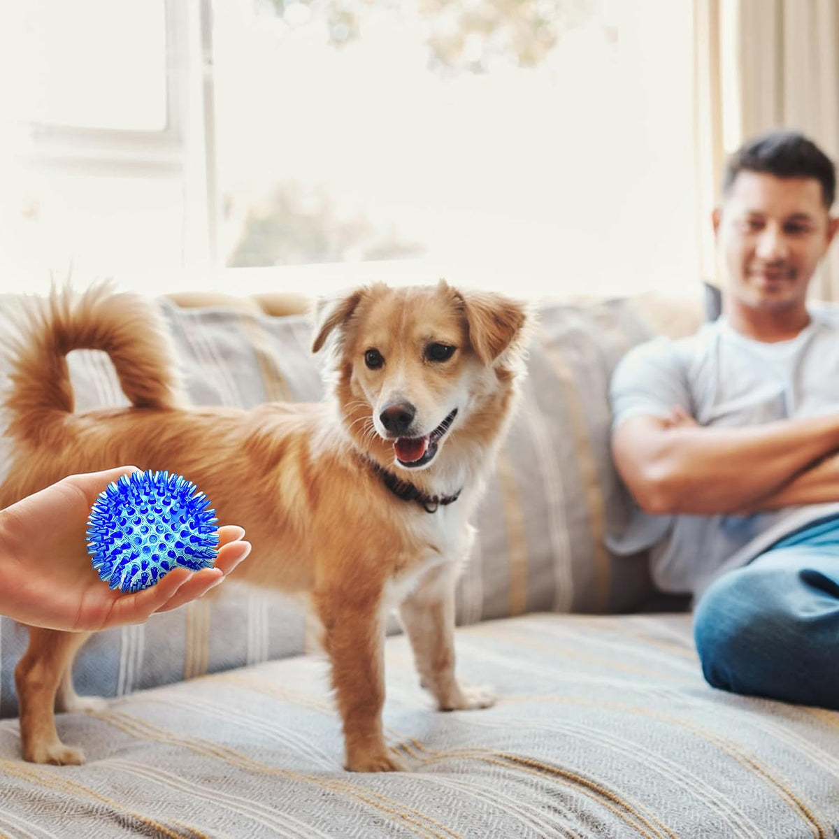 SHARLOVY Pelotas Chirriantes de 3'' para Perros Pequeños, P...