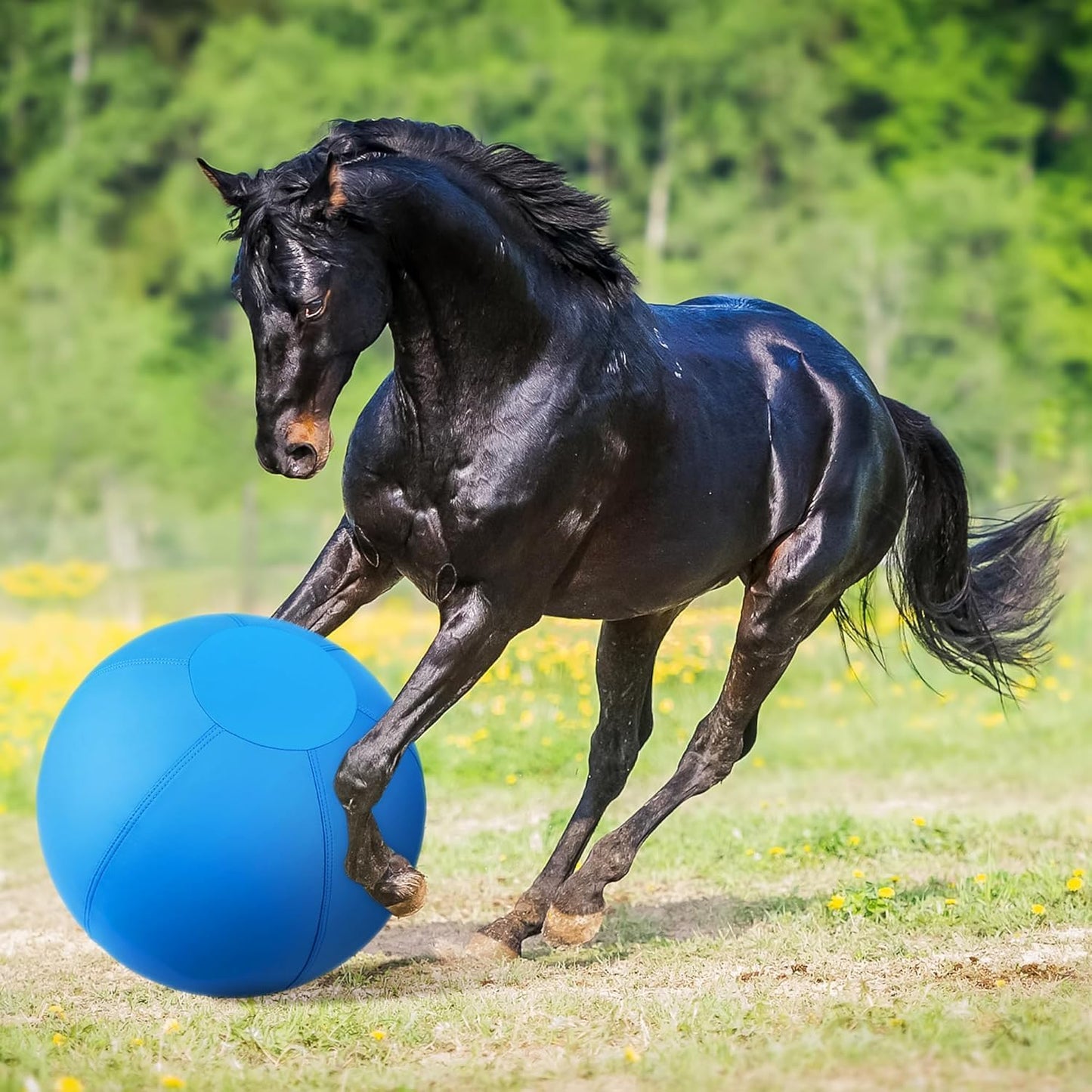 Pelota de pastoreo para perros y caballos, bola alegre de 18 pulgad...