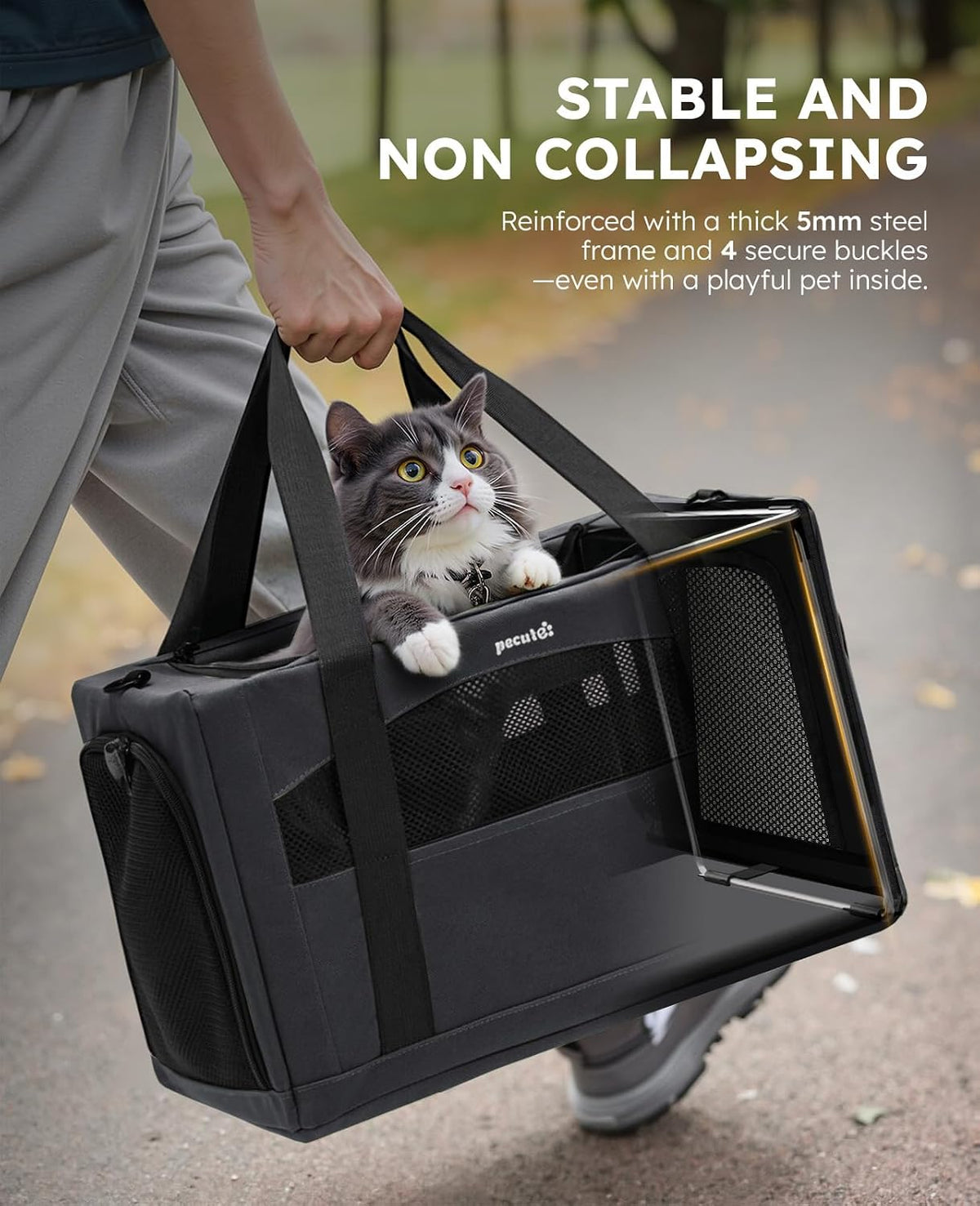 Pecute Transportador estable para gatos, transportador de mascotas...