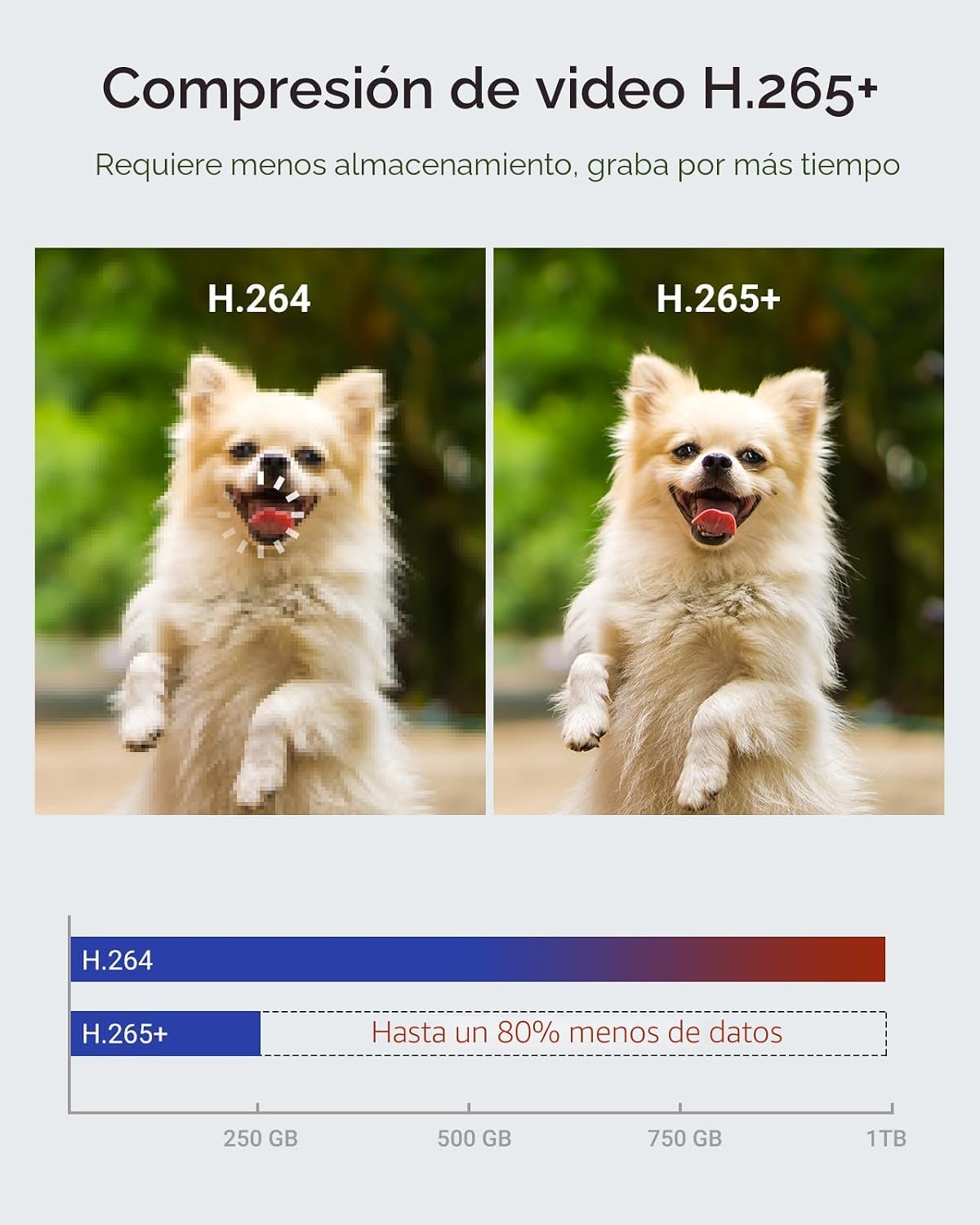 ANNKE Grabador de vídeo digital de seguridad 5 en 1 de 16 canales 1...