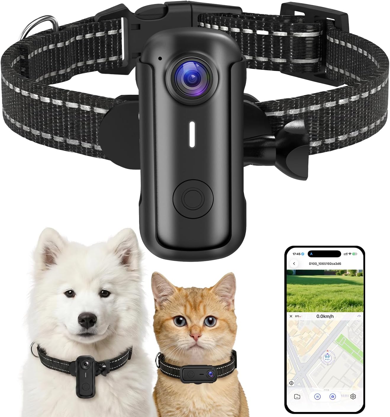 Collar de cámara para gatos con aplicación de teléfono y grabación...