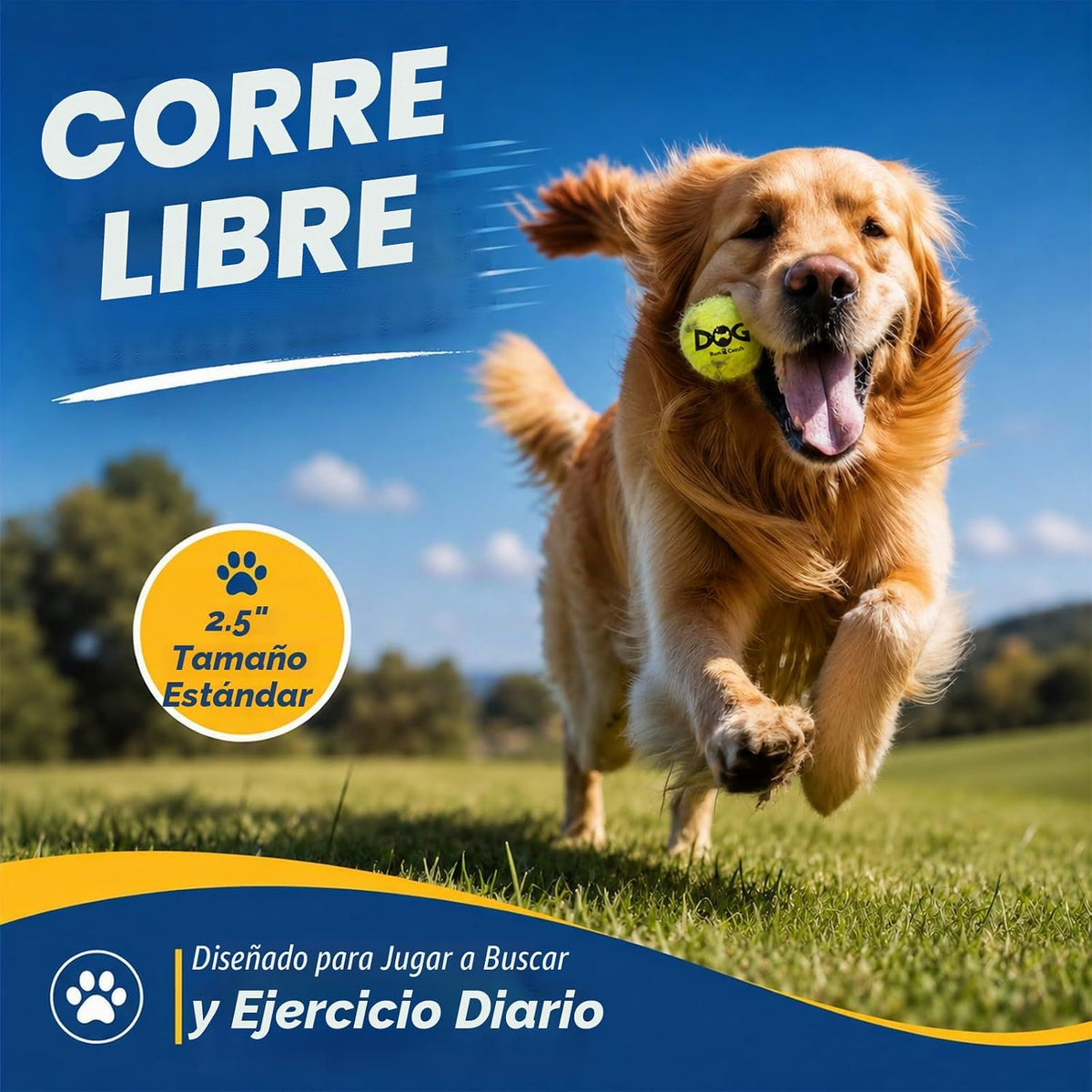 Pelotas de tenis para perros INSUM, paquete de 12 pelotas coloridas...