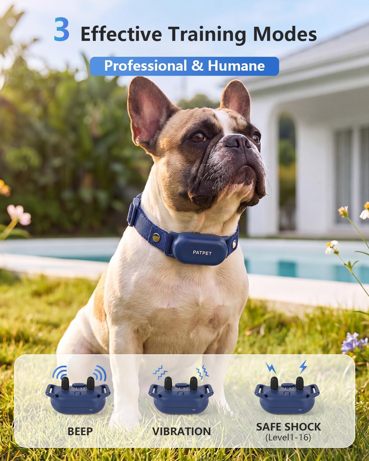 PATPET Collar de choque para perros \u2013 Collar de entrenamiento...