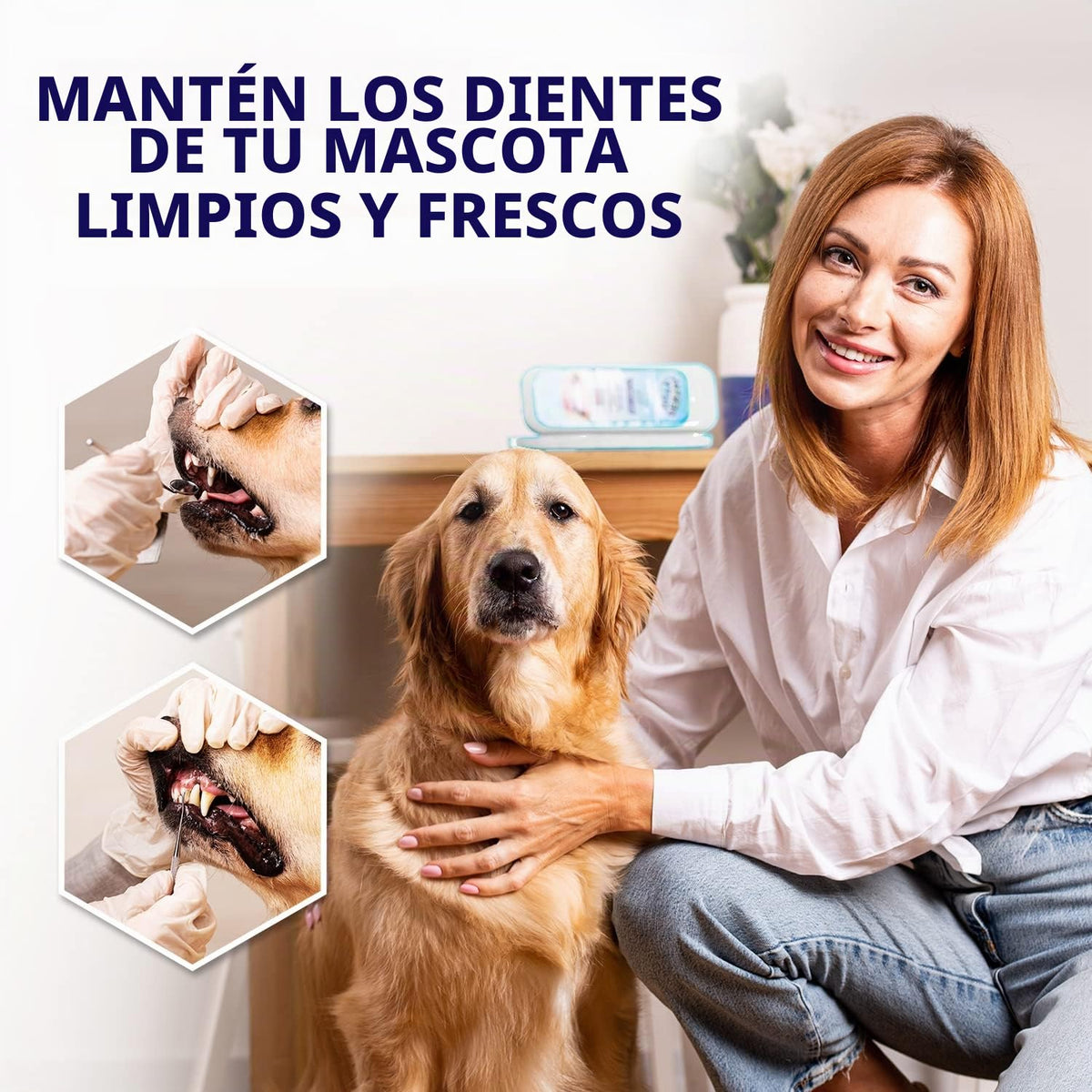 Dental Duty Herramientas Dentales, Raspador Dental para Herramienta...
