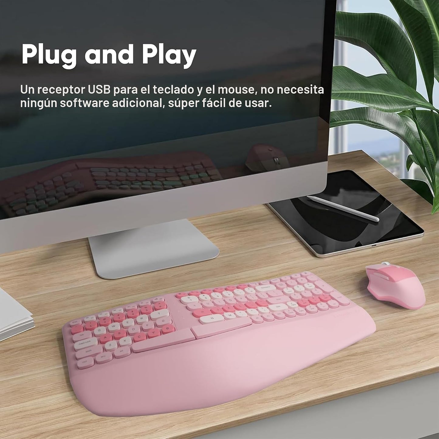 Combo de teclado ergonómico inalámbrico y mouse con reposamuñecas d...