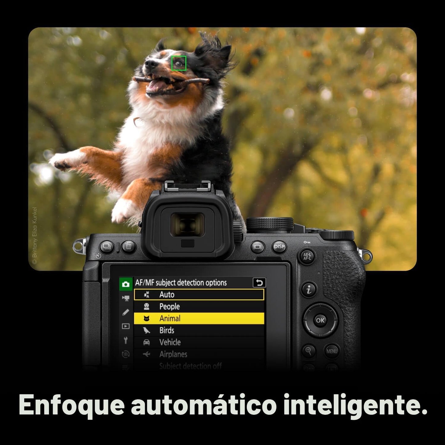 Nikon Z50 II con dos lentes | Cámara compacta sin espejo para fotos...