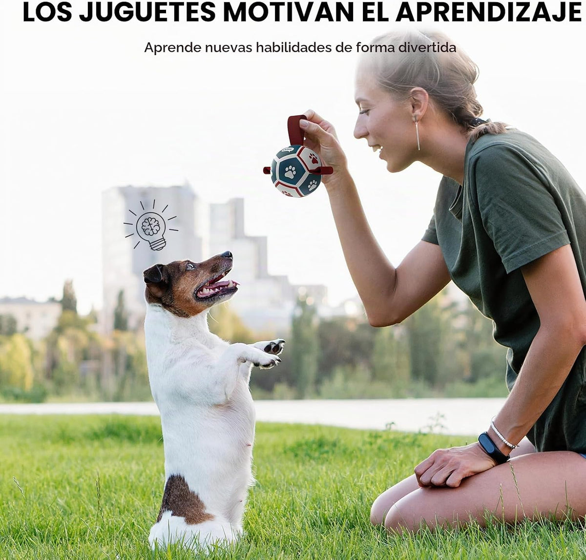 QDAN Juguetes para perros pequeños, pelotas para cachorros, pelotas...