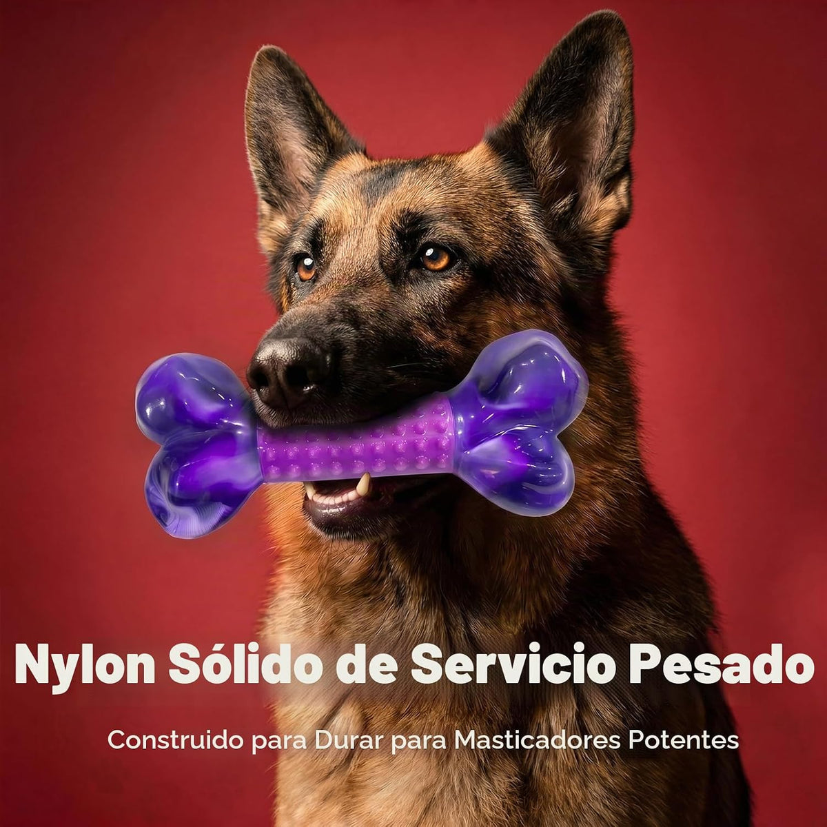 Apasiri Juguetes resistentes para perros masticadores agresivos de...