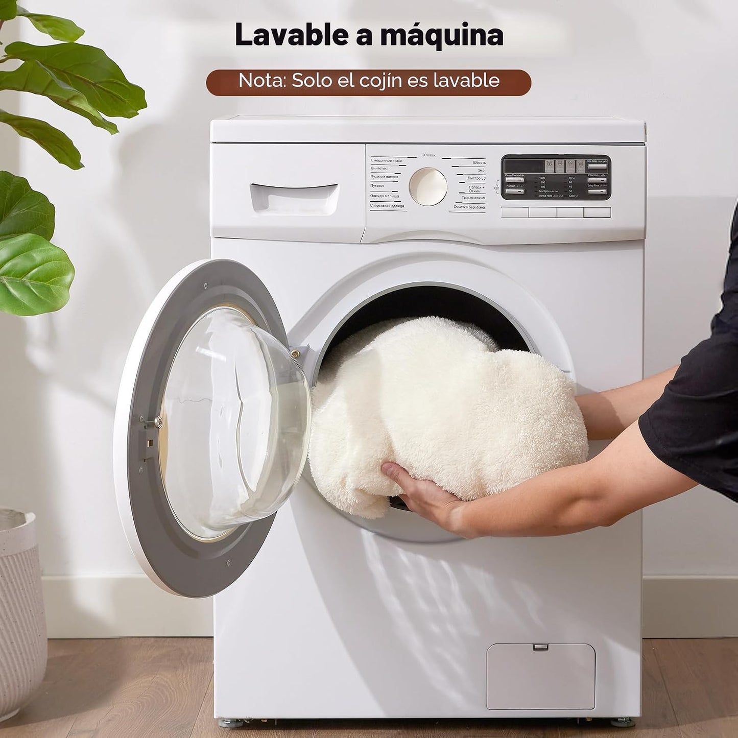 ZOMISIA Peekaboo - Cama de túnel para gatos de interior, lindo túne...
