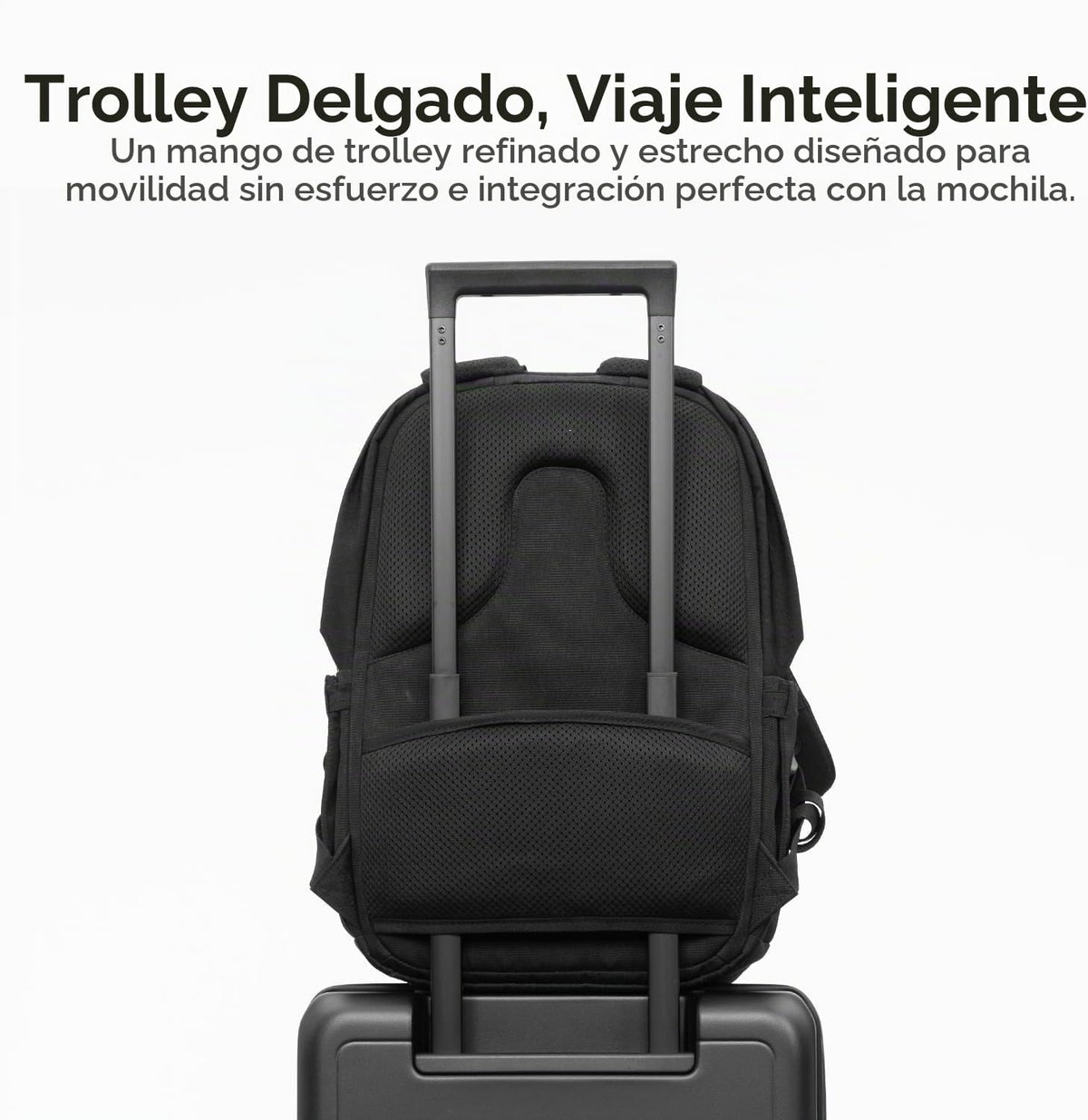 LEVEL8 Equipaje de mano Adventure Classic, Amarillo, 20 pulg. | Un...