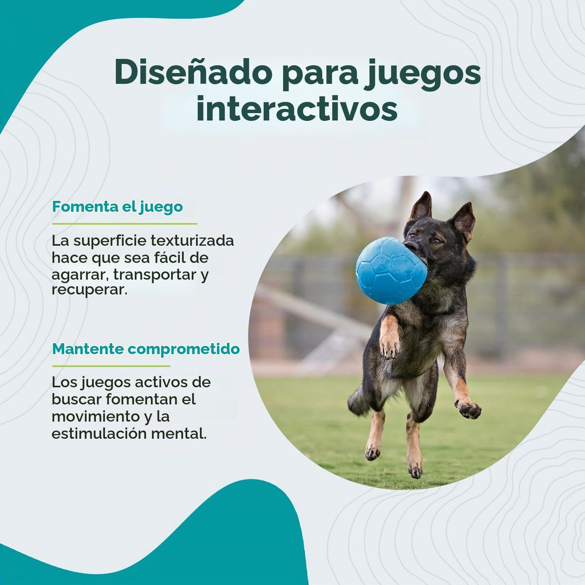 Juguete para perros Jolly Pets gran pelota de fútbol flotante y reb...