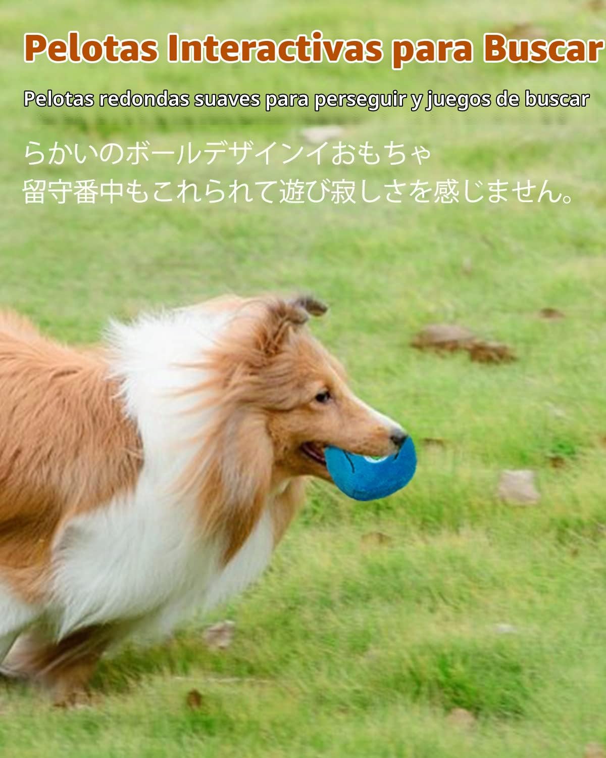 SCHITEC Juguetes chirriantes para perros, [8 unidades] Pelotas de f...