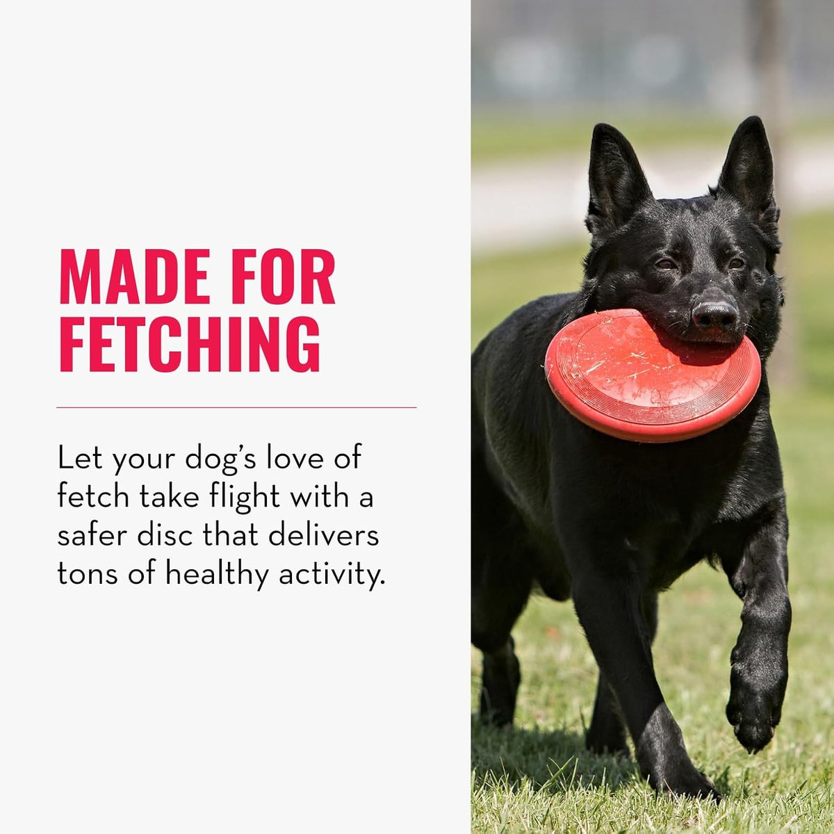 KONG Flyer - Juguete duradero para perros para jugar al aire libre,...