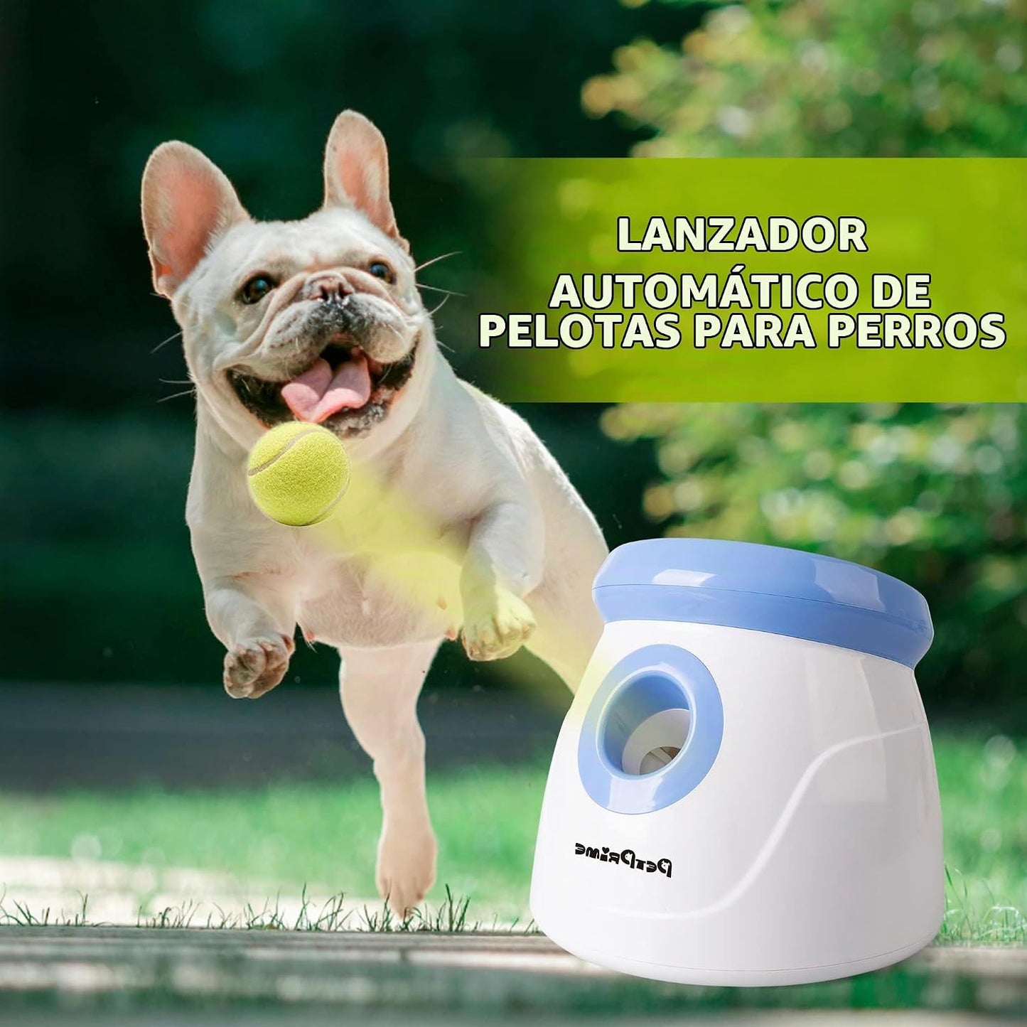 Pet Prime Lanzador automático de bolas para perros pequeños y media...