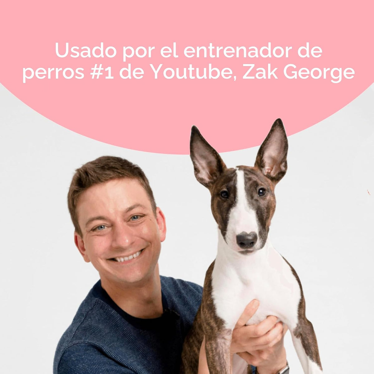 Pupford - Golosinas de entrenamiento liofilizadas, para perros y ca...