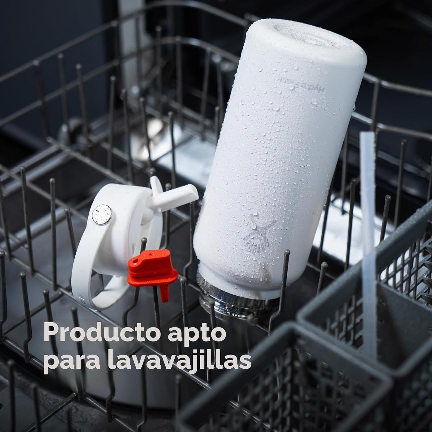 Hydro Flask Botella de agua \u2013 Acero inoxidable aislado \u2013...