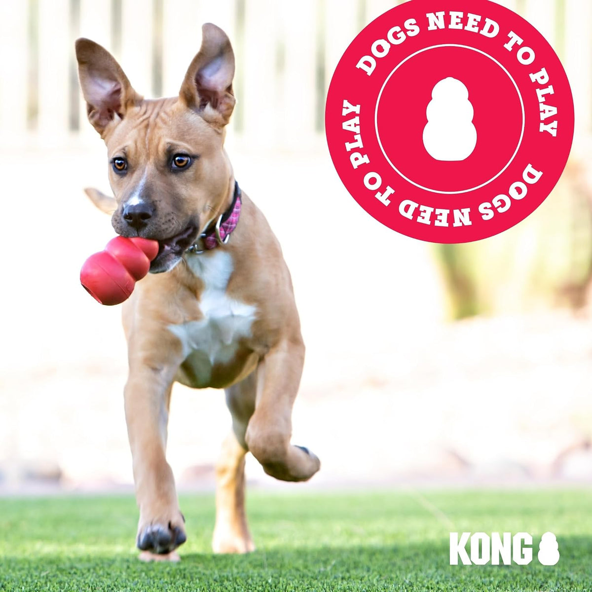 Kong Wild Knots Osos - Juguetes duraderos para perros con cuerdas a...
