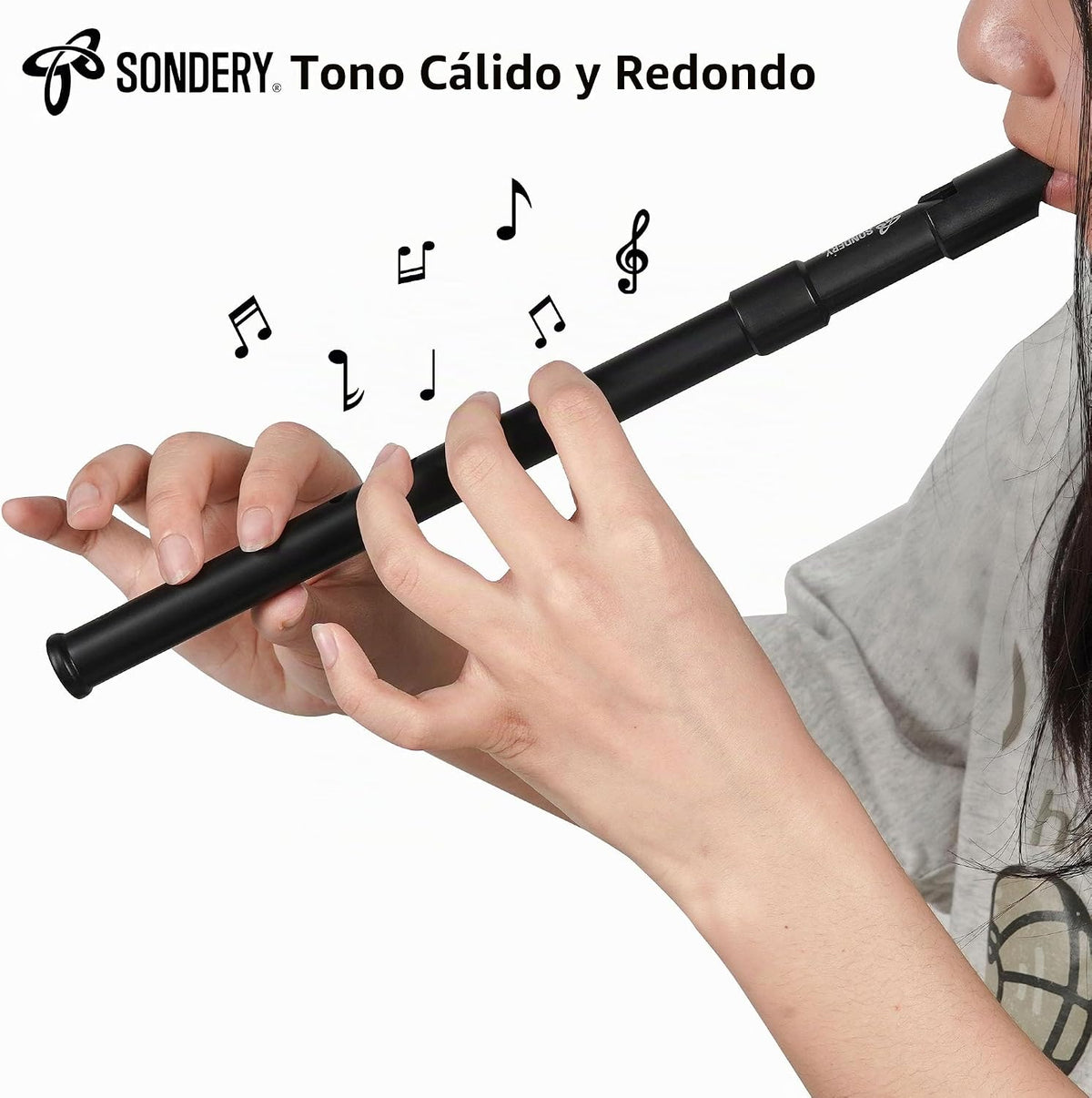 Sondery Silbato irlandés de lata de material ABS negro D con un ton...