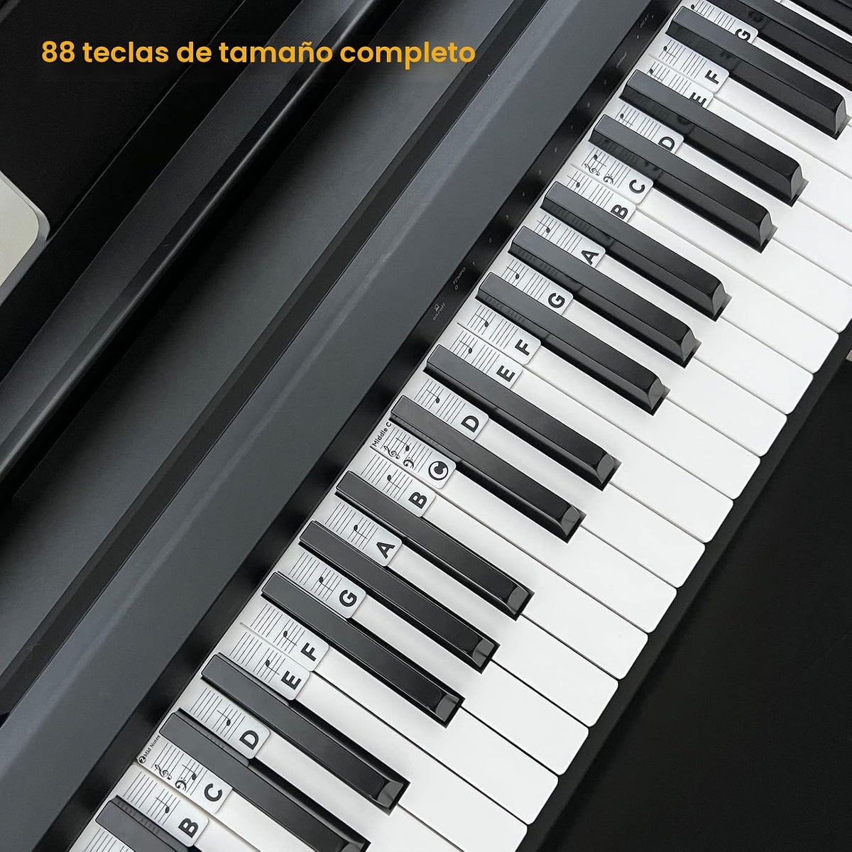 BEATBIT Guía de notas de piano para principiantes, etiquetas extraí...