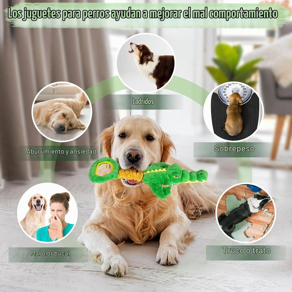 Eneston Juguetes grandes para perros, juguete de peluche chirriante...