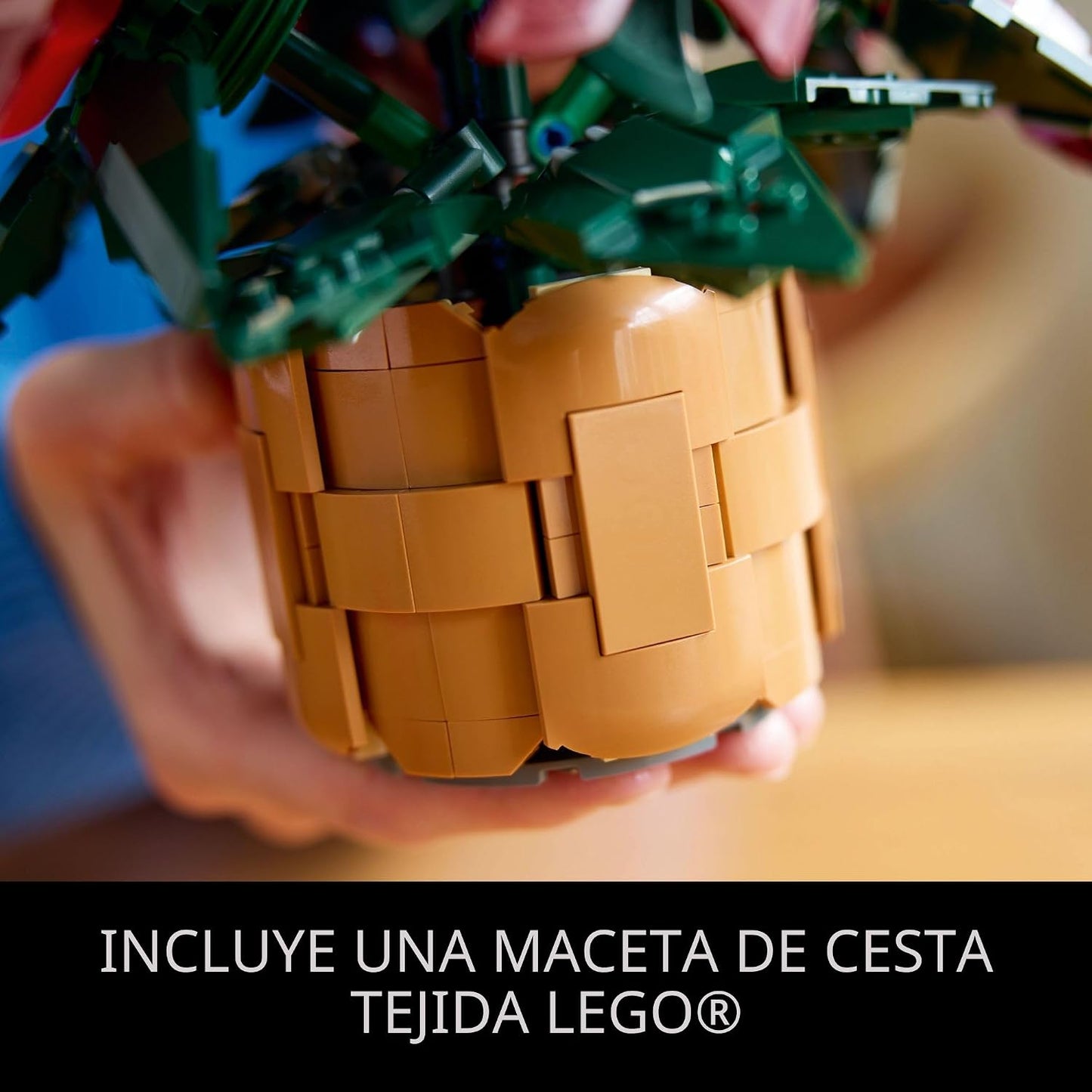 LEGO Icons Poinsettia - Juegos de construcción para adultos, flores...