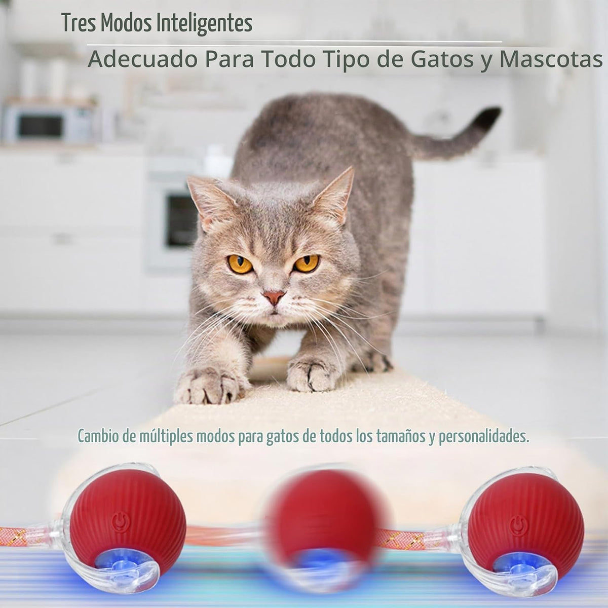 Yaruiguang Nuevo Juguete de Pelota para Gatos Mejorado - Speedy Tai...