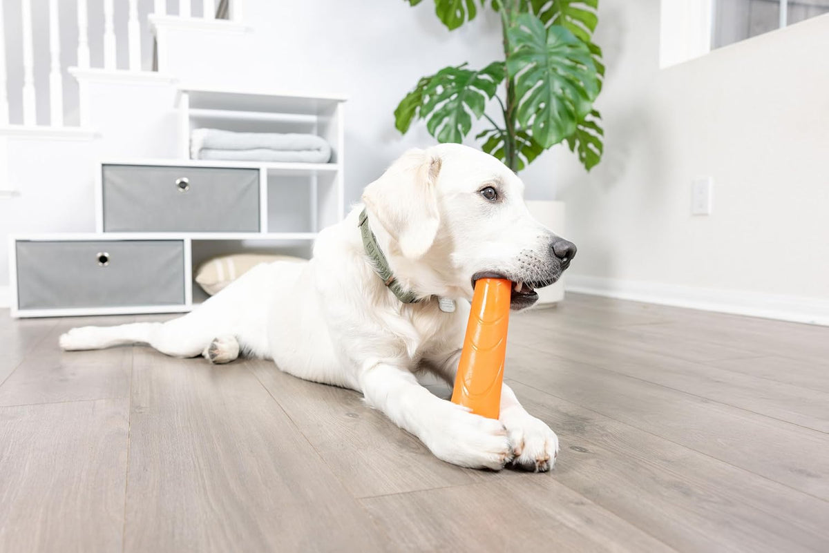 Chuckit! Super Crunch Fetch Stick - Juguete para perros \u2013 Mate...