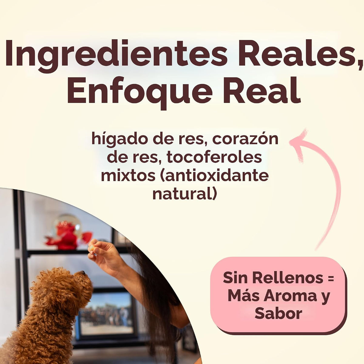 Pupford - Golosinas de entrenamiento liofilizadas, para perros y ca...