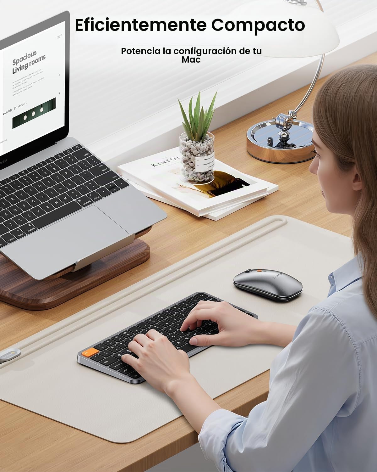 ProtoArc Teclado y mouse Bluetooth compacto retroiluminado para Mac...