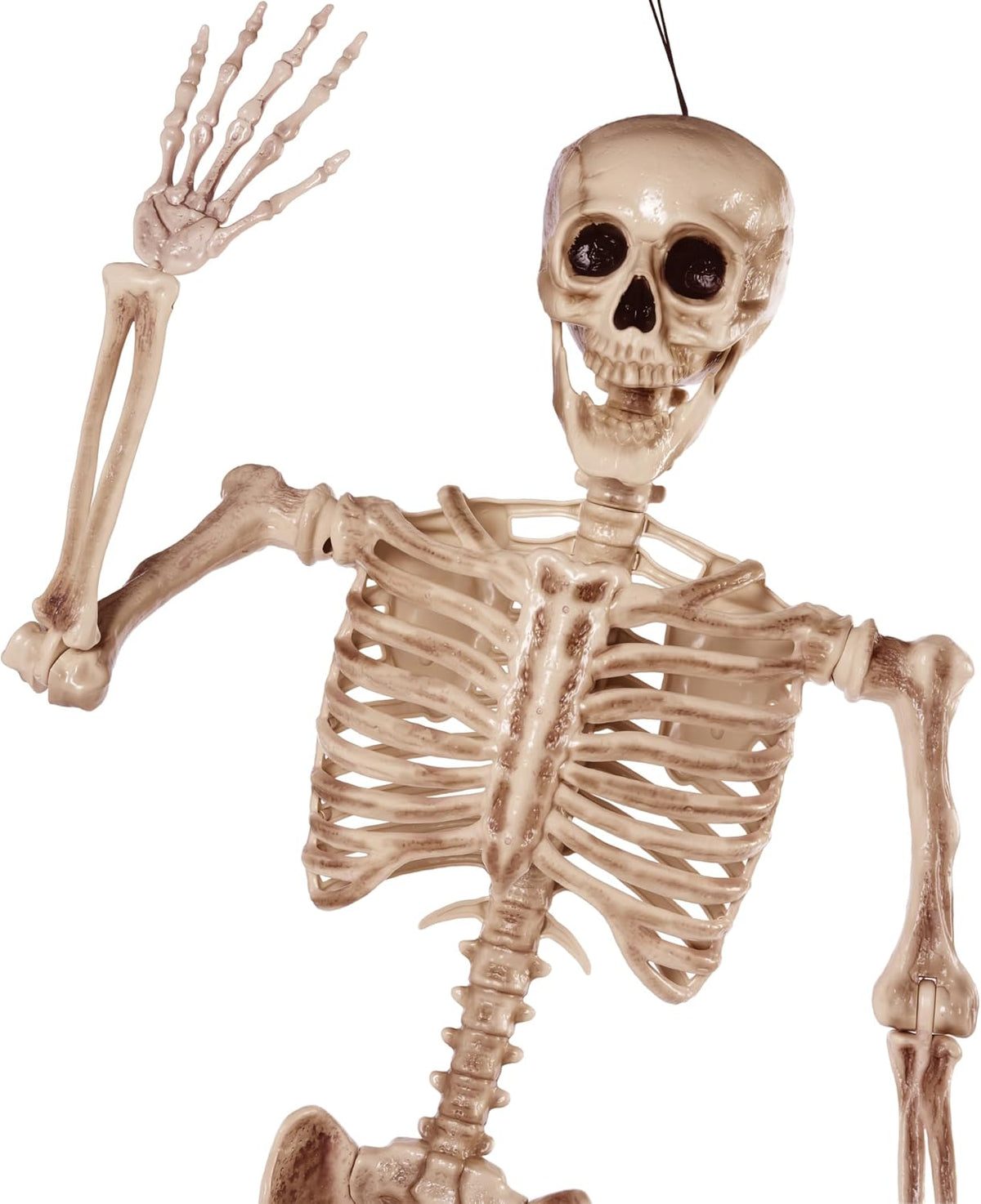 JOYIN - Esqueleto de Halloween de 1.7 m articulable, esqueleto de t...