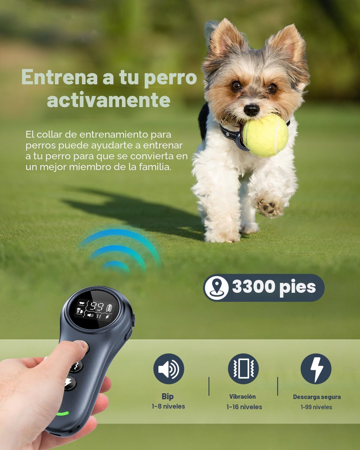 Collar de choque para perro de 2 en 1 y collar antiladrido para per...