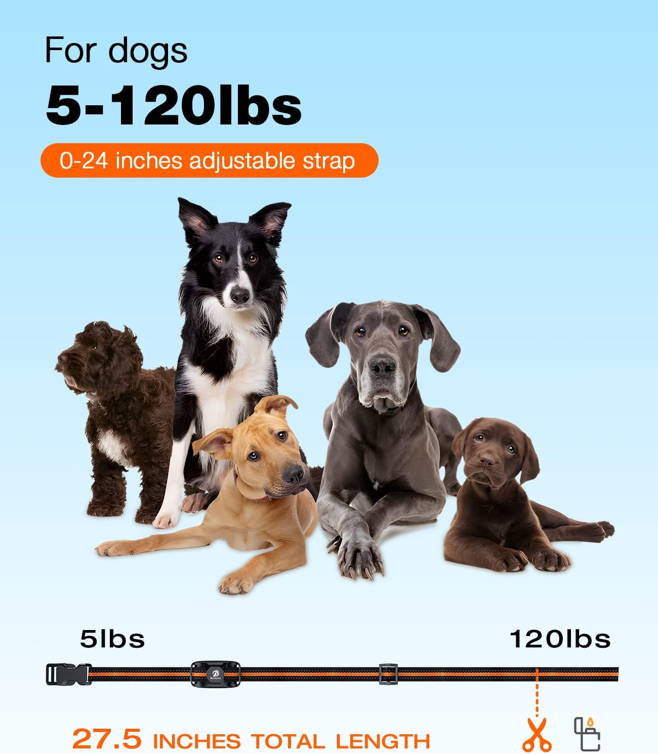 Bousnic Collar de choque para perro, collar de entrenamiento para p...