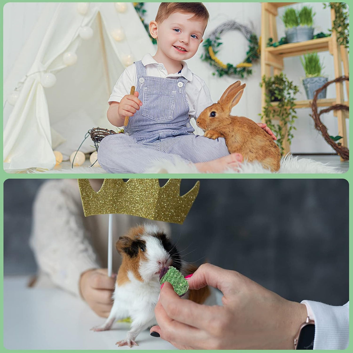 VESPRO Juguetes de conejo para conejos, juguetes masticables de con...