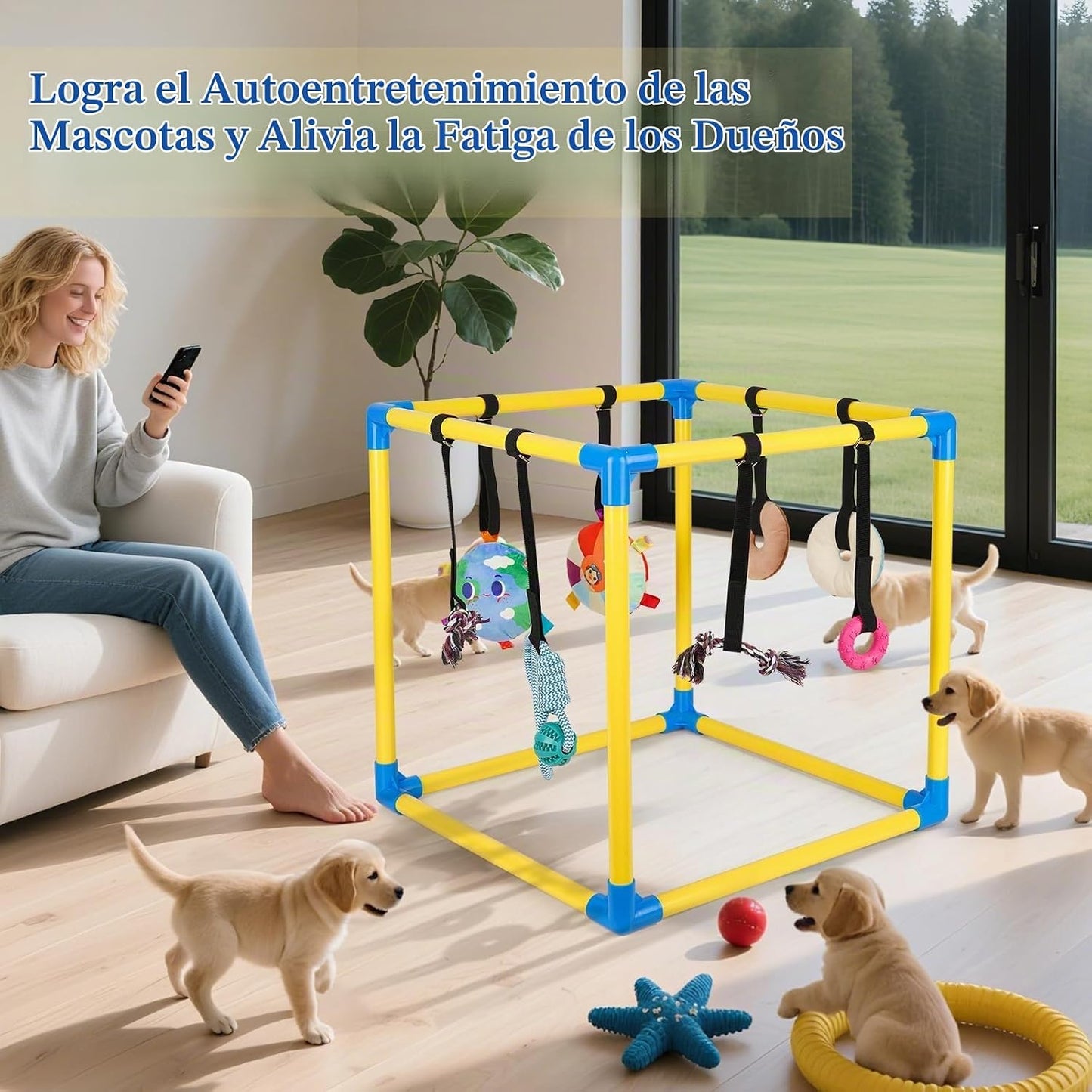 Liitrton Gimnasio de juego para cachorros \u2013 Gimnasio de juego...