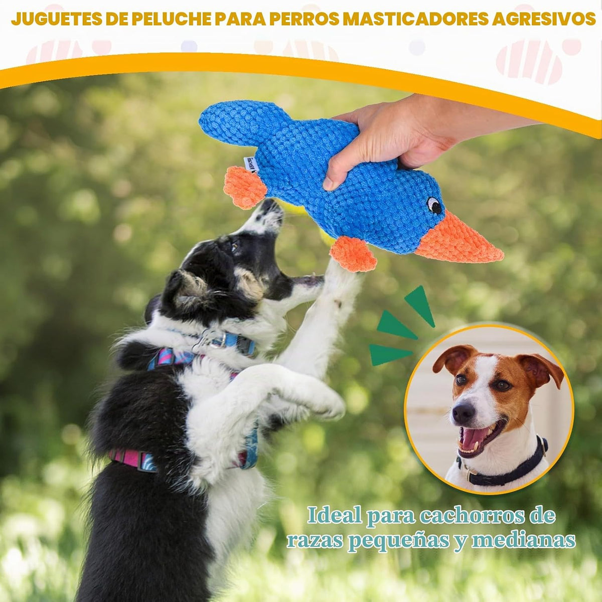 Vitscan Juguetes chirriantes para perros masticadores agresivos de...