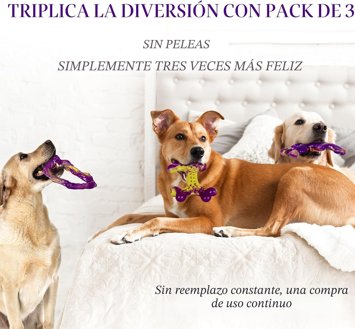Frienhund Juguetes resistentes para perros masticadores agresivos,...