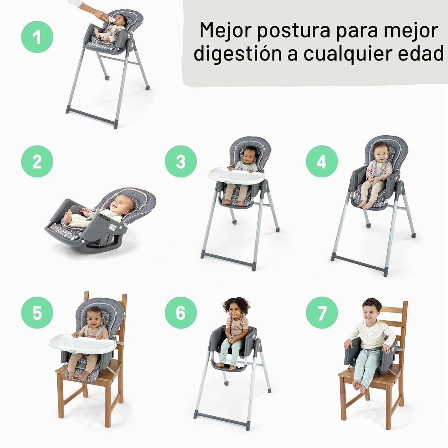 Ingenuity Proper Positioner Silla Alta de Lujo - Asiento de Bebé Co...