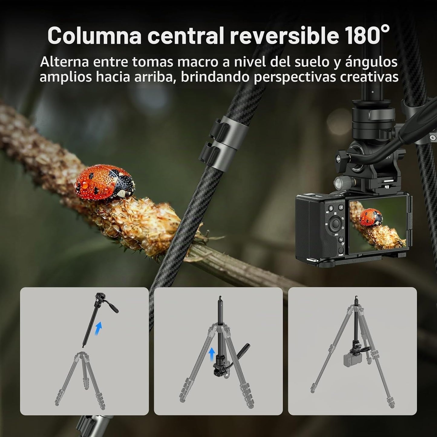 SmallRig Trípode de viaje portátil de 63 pulgadas para iPhone y cám...