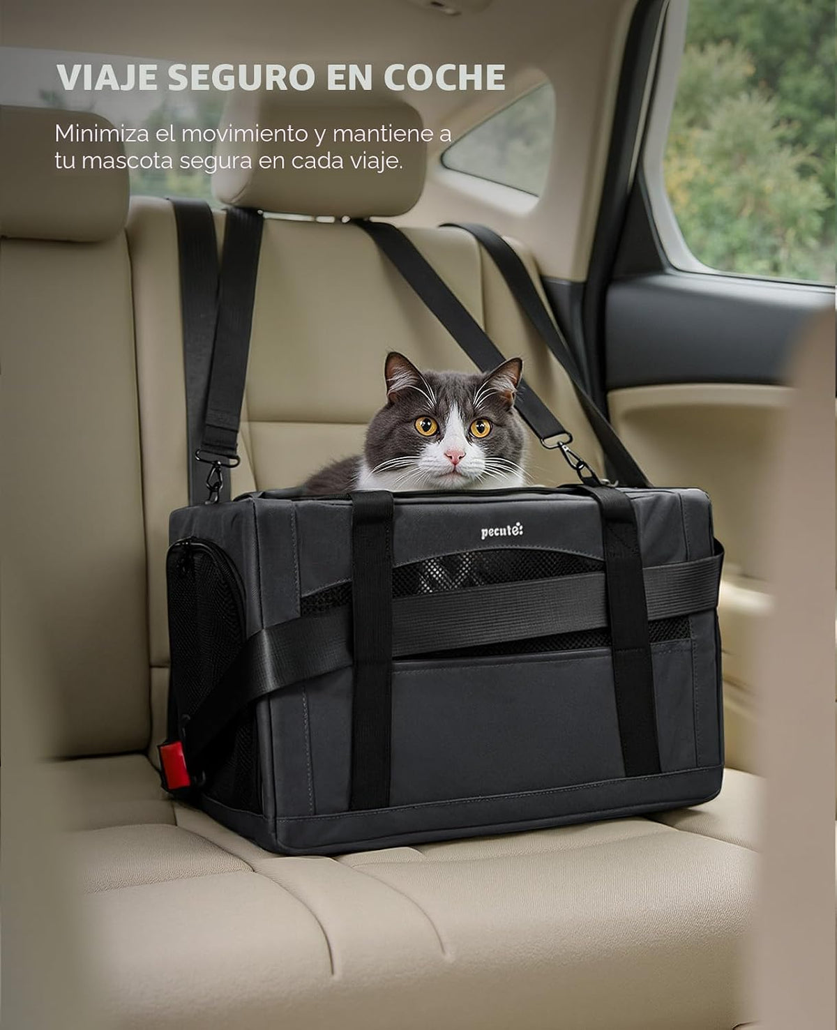 Pecute Transportador estable para gatos, transportador de mascotas...