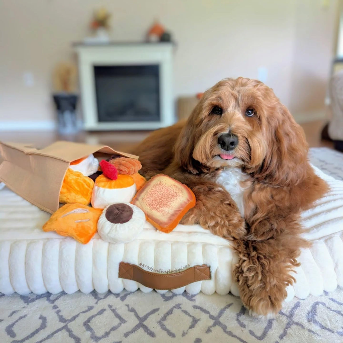 Nocciola 10 piezas de juguetes para perros con sonido - Juguetes pa...