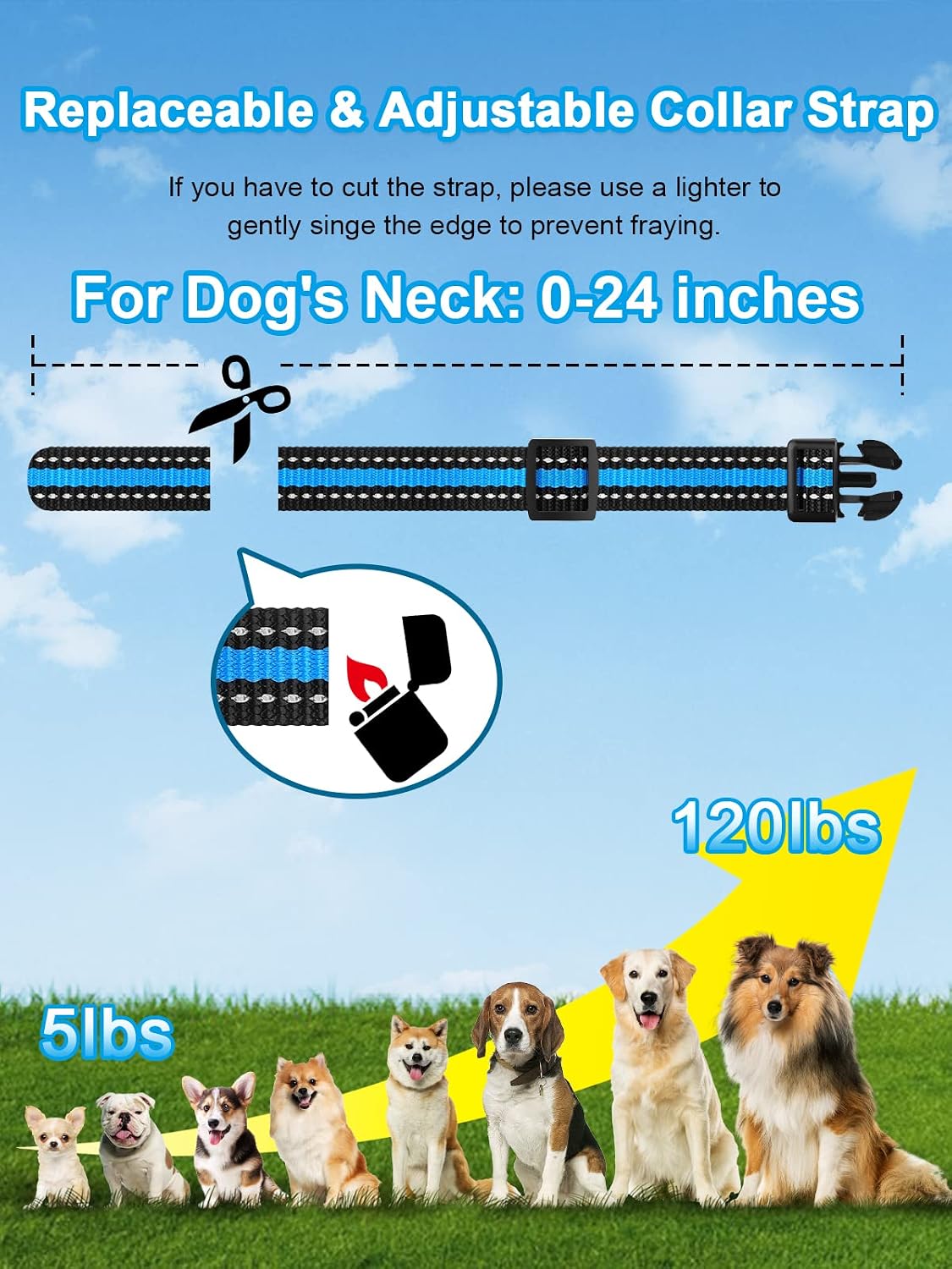 Bousnic Collar de entrenamiento con choque para perros, para 2 perr...