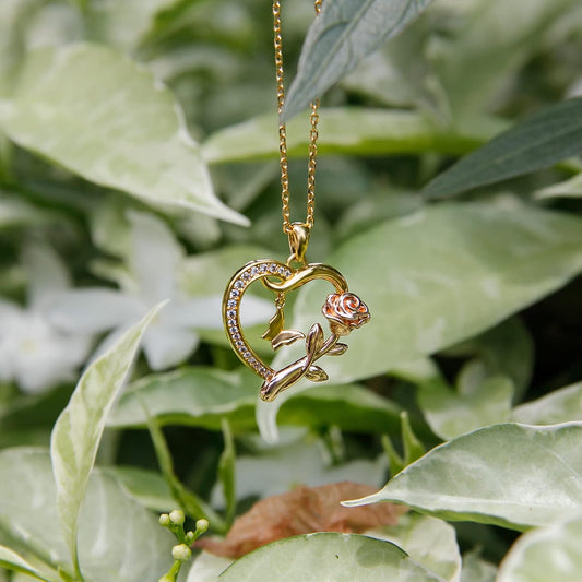 Alsanix - Collar de Corazón para Mujer, Plata de Ley\/Chapado en Or...