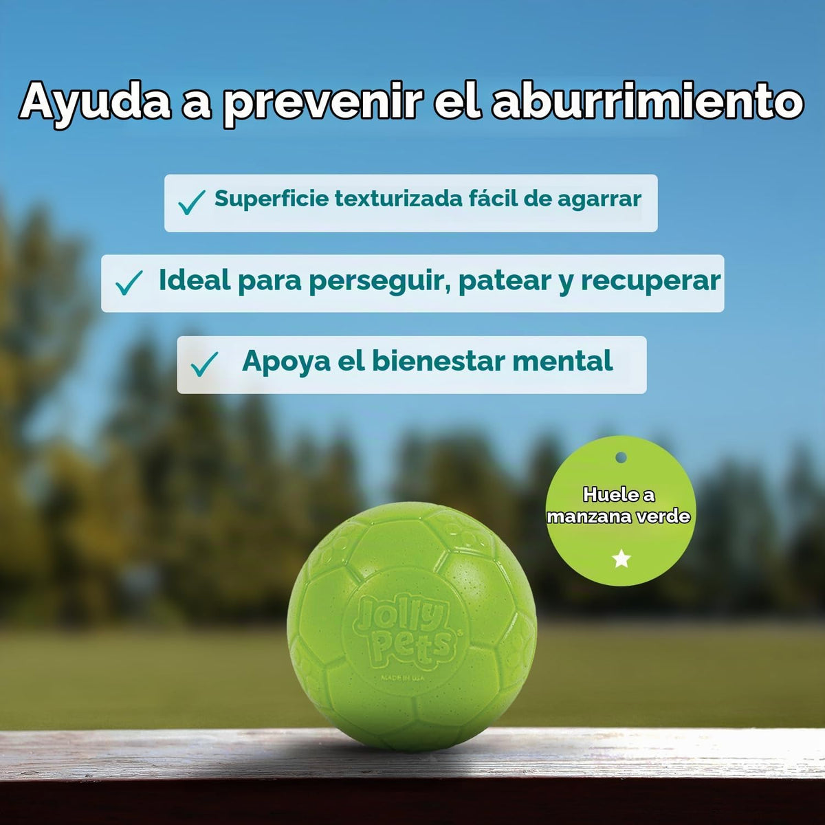 Juguete para perros Jolly Pets - Pelota de fútbol flotante y rebota...