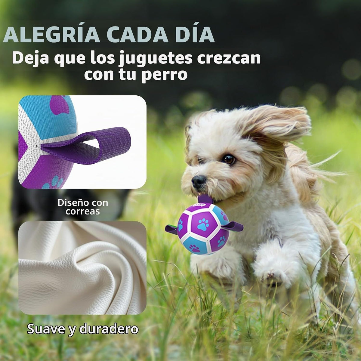 QDAN Juguetes para perros pequeños, pelotas para cachorros, pelotas...