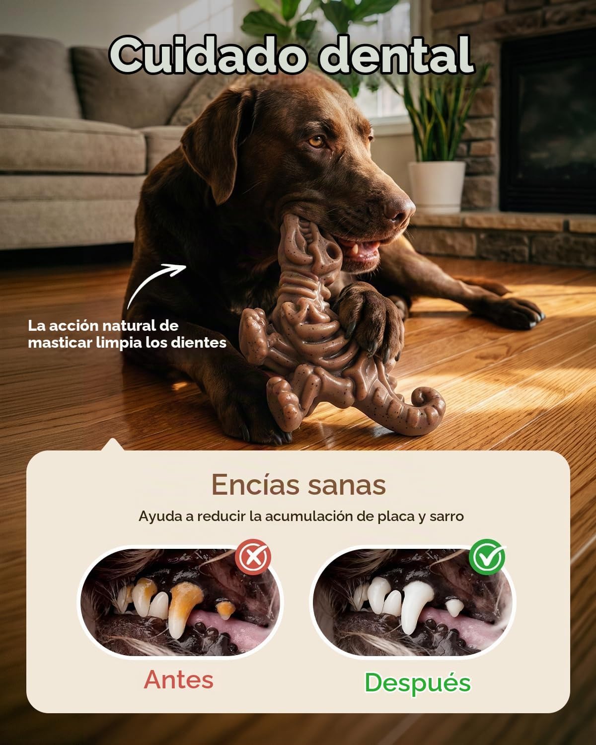 DinoBone Paquete de 2 juguetes masticables para perros resistentes...
