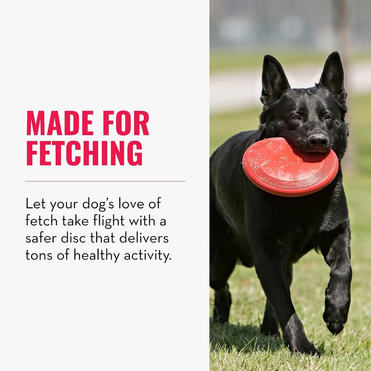 KONG Flyer - Juguete duradero para perros para jugar al aire libre,...