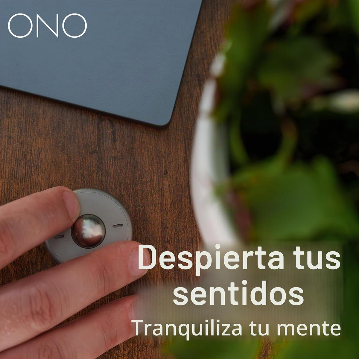 ONO Scroller - Juguete antiestrés de mano para adultos | Ayuda a al...