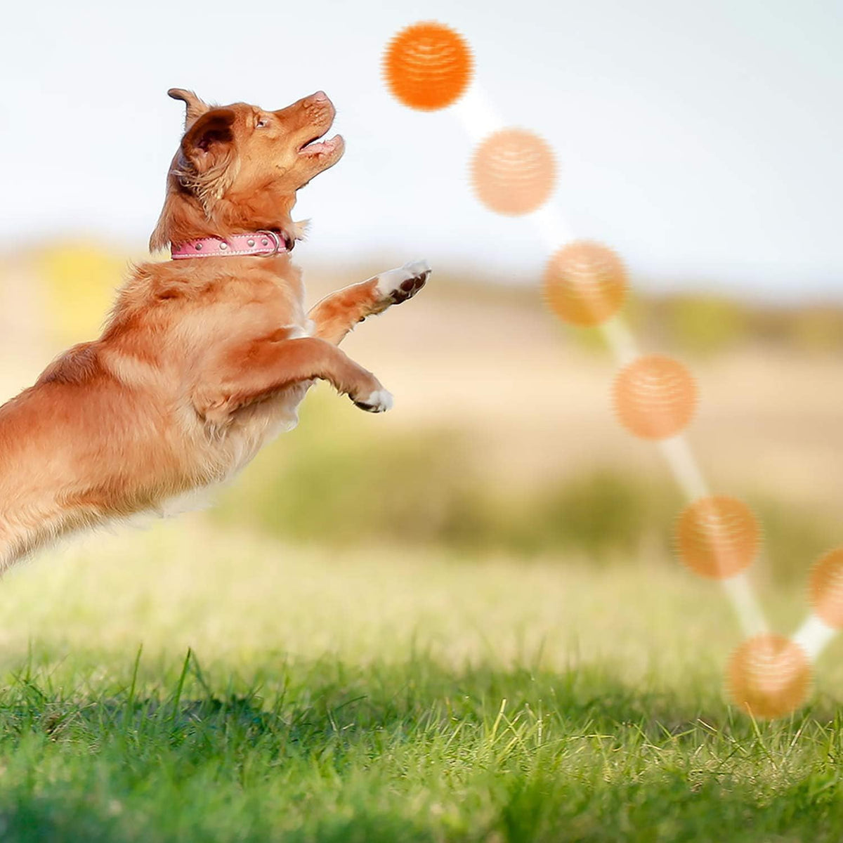 SHARLOVY Pelotas chirriantes para cachorros pequeños, paquete de 6...
