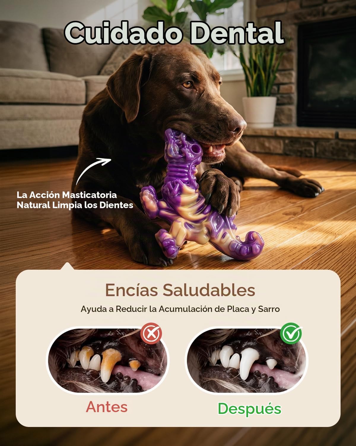 DinoBone Paquete de 2 juguetes masticables para perros resistentes...